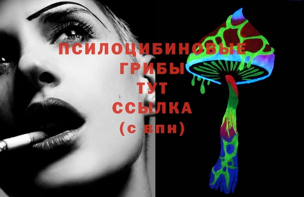 мяу мяу мука Баксан